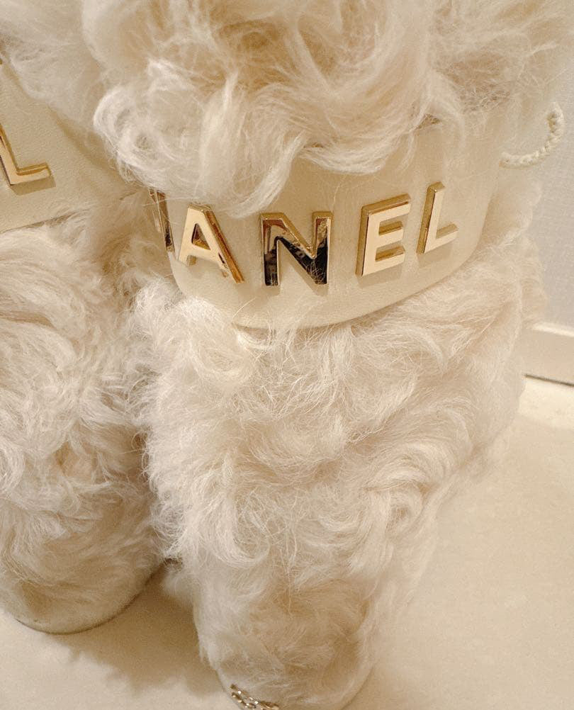 Chanel AW21 Boots (37)